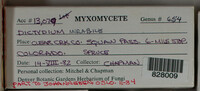Image Associated With the Occurence